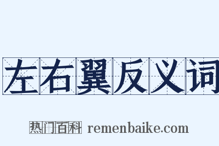 左右翼反义词是什么意思的图片